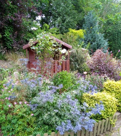 Wendy House surrounded by beautiful plants, bushes and trees in Whickham Hermitage Community Garden