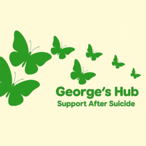 Different sized green butterflies over the words: George's Hub Support After Suicide,
