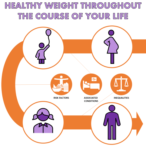 Colourful stick person drawings demonstrating 'Healthy weight throughout the course of your life'