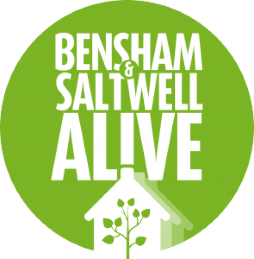 Bensham and Saltwell Alive Logo