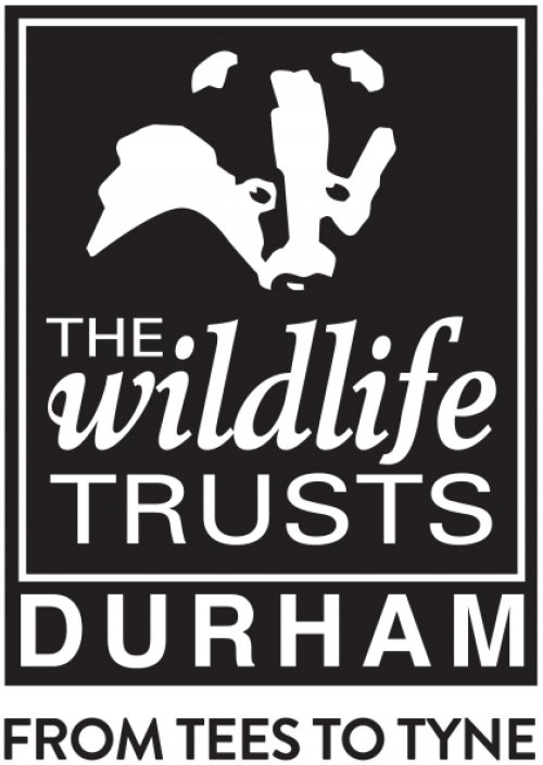 Durham Wildlife Trust (Gateshead)