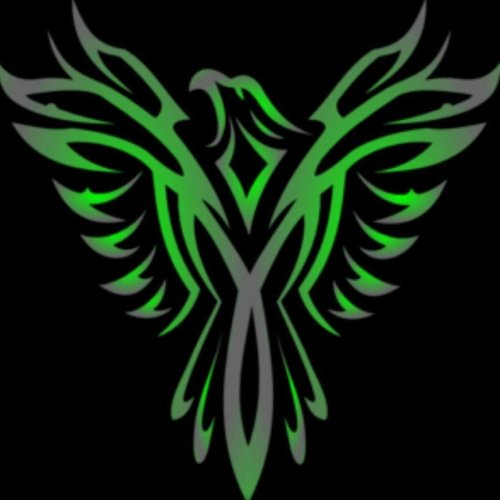 Phoenix Fitness