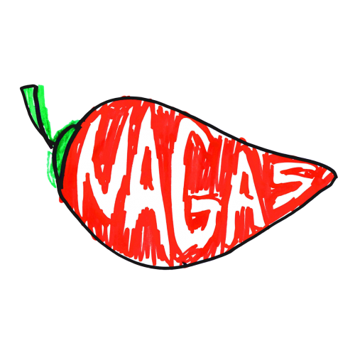 NAGAS Logo