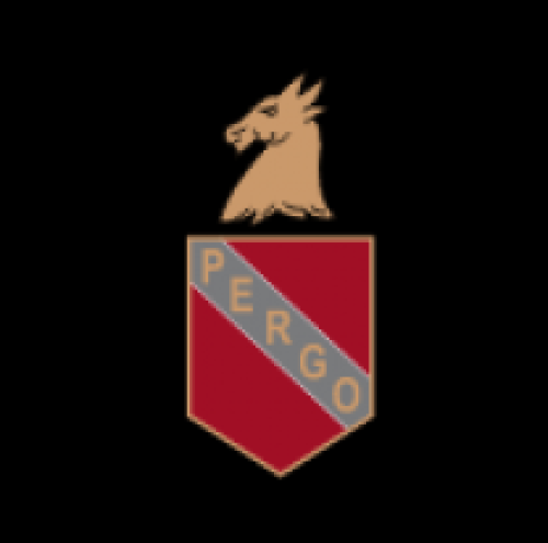 Gateshead Redheugh Community Club logo.  Black backround with red shield saying PERGO below a horse's head. 