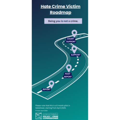 diagram show 4 sections: report, Post-report, Support, Court Support