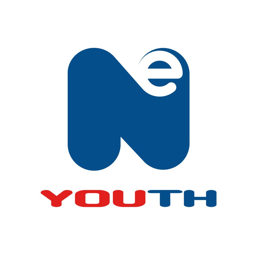 NE Youth logo
