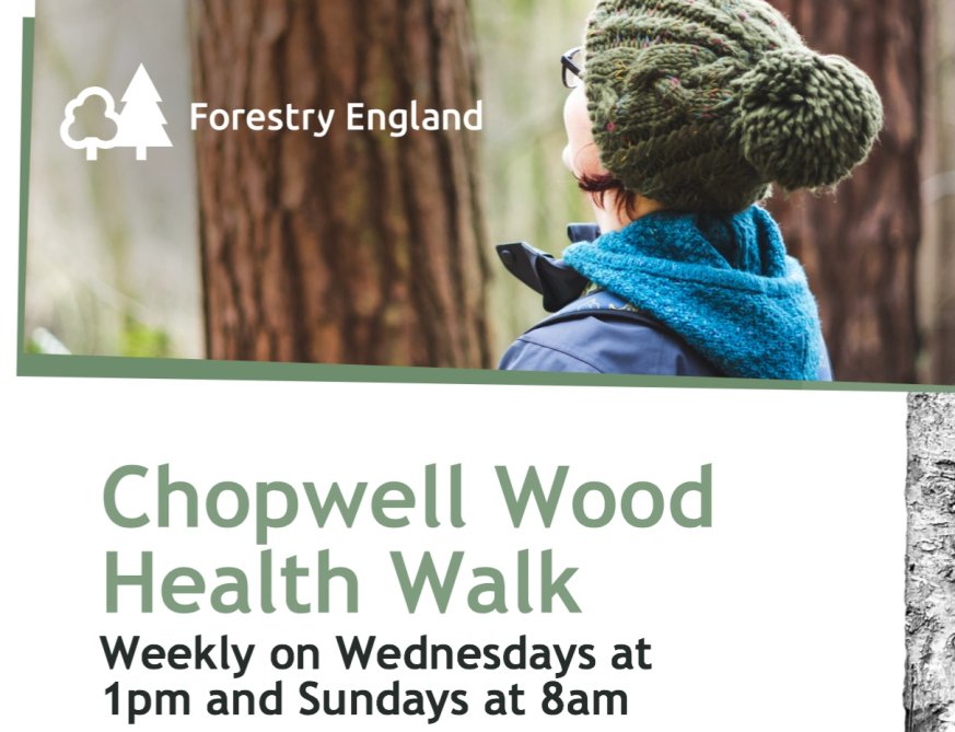 Poster advertising the Chopwell woods walks