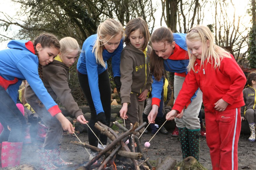 Rainbows, Brownies and Guides toasting marshmallows over a campfire