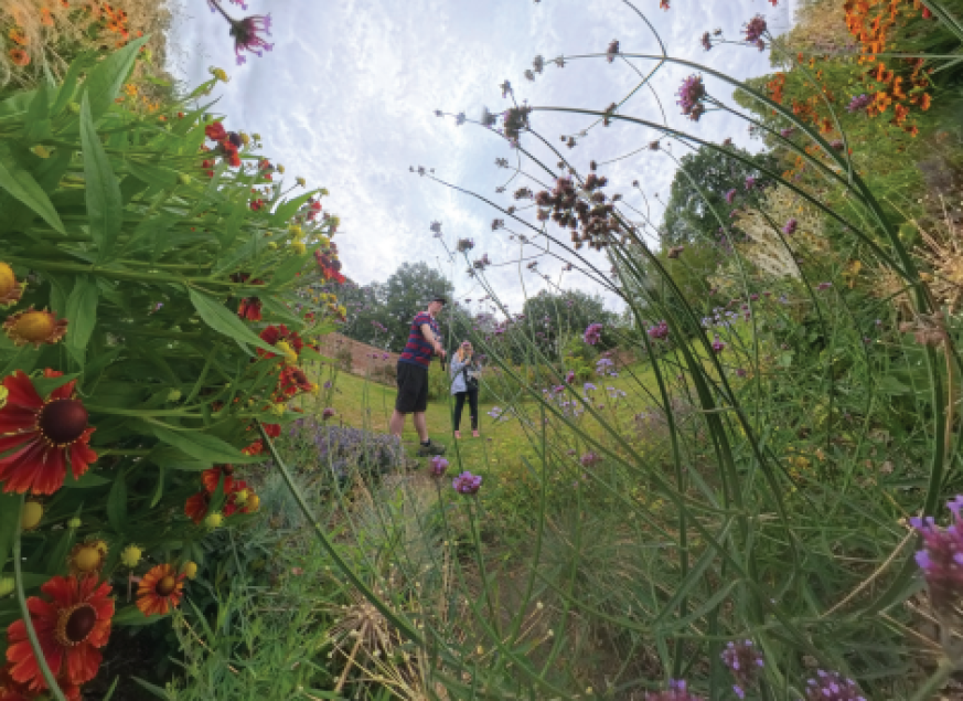 A photo of two people in a garden. They are surrounded by various colourful flowers and grass.