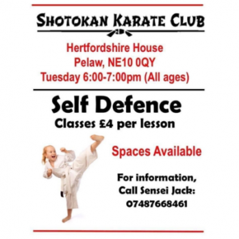 Girl doing high kick - text reads: Spaces available. For more info call Sensei Jack