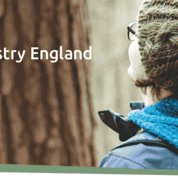 Event poster - photo of person in the woods