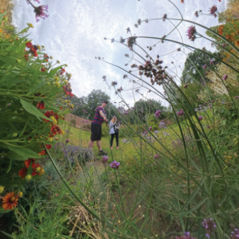 A photo of two people in a garden. They are surrounded by various colourful flowers and grass.