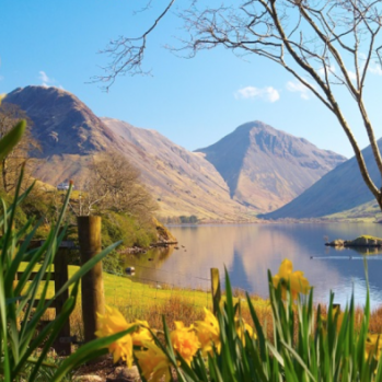 a photo of a lake with Hills in the distance and daffodils in the foreground