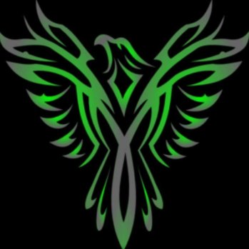 Phoenix Fitness