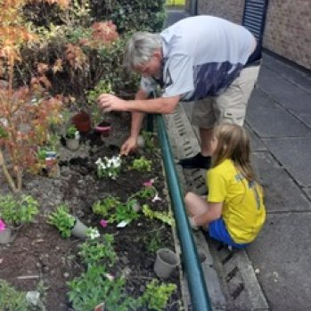 volunteer planting shrubs in small garden